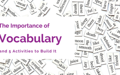 The Importance of Vocabulary