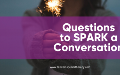 Questions to SPARK a Conversation